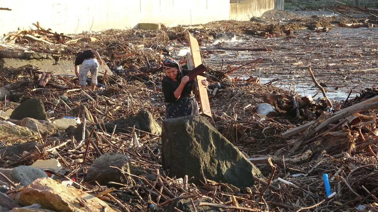 Ağaç parçalarının sahili doldurduğunu gören vatandaşlar ise ağaç kütüklerini ve parçalarını kışın yakacak olarak kullanmak üzere toplamaya başladı.