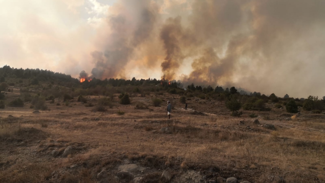 Bolu'da çıkan orman yangınına müdahale ediliyor | TRT Haber Foto Galeri