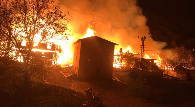 Kastamonu'nun Tepeharman köyünde yangın