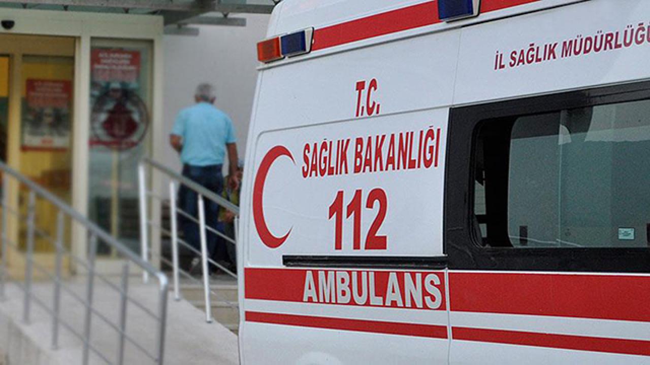 Bursa'da sokak köpekleri 2 çocuğu hastanelik etti