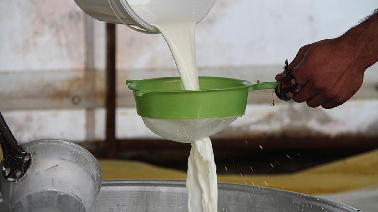 Türkiye&#039;de 2023&#039;te 21,5 milyon ton çiğ süt üretildi