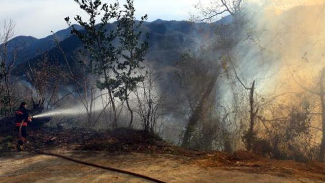 Trabzonda 4 noktada orman yangını