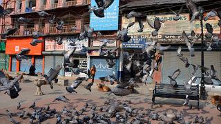 Hindistan'da hafta sonu sokağa çıkma yasağı