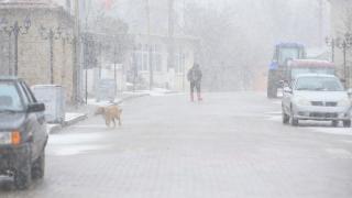 Trakya'da beklenen kar yağışı başladı