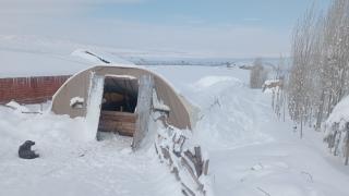 Kardan çatısı çöken ahırdaki koyunlar kurtarıldı