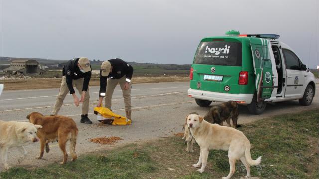 Edirne'de polis ekipleri sokak hayvanlarını unutmadı