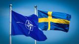 İsveçli gazeteci: Türkiye NATO üyeliğine karşı çıkmakta haklı