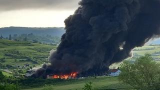 Bosna Hersek'te bir fabrikada yangın