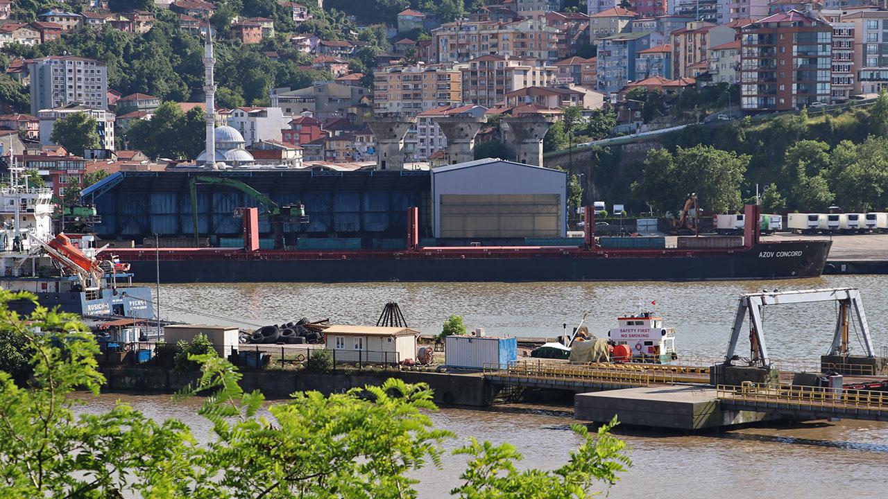 Mariupol'den çıkan gemi Zonguldak Limanı'nda