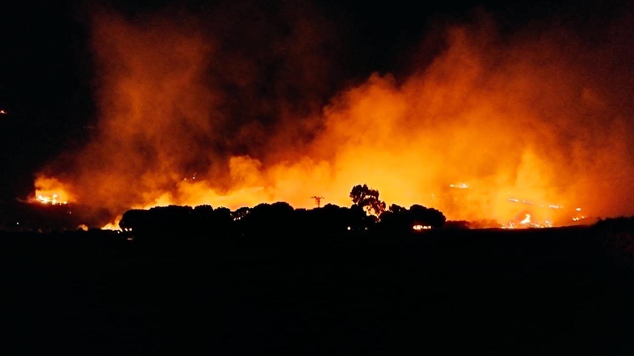 Aydın'da orman yangını: Kontrol altında