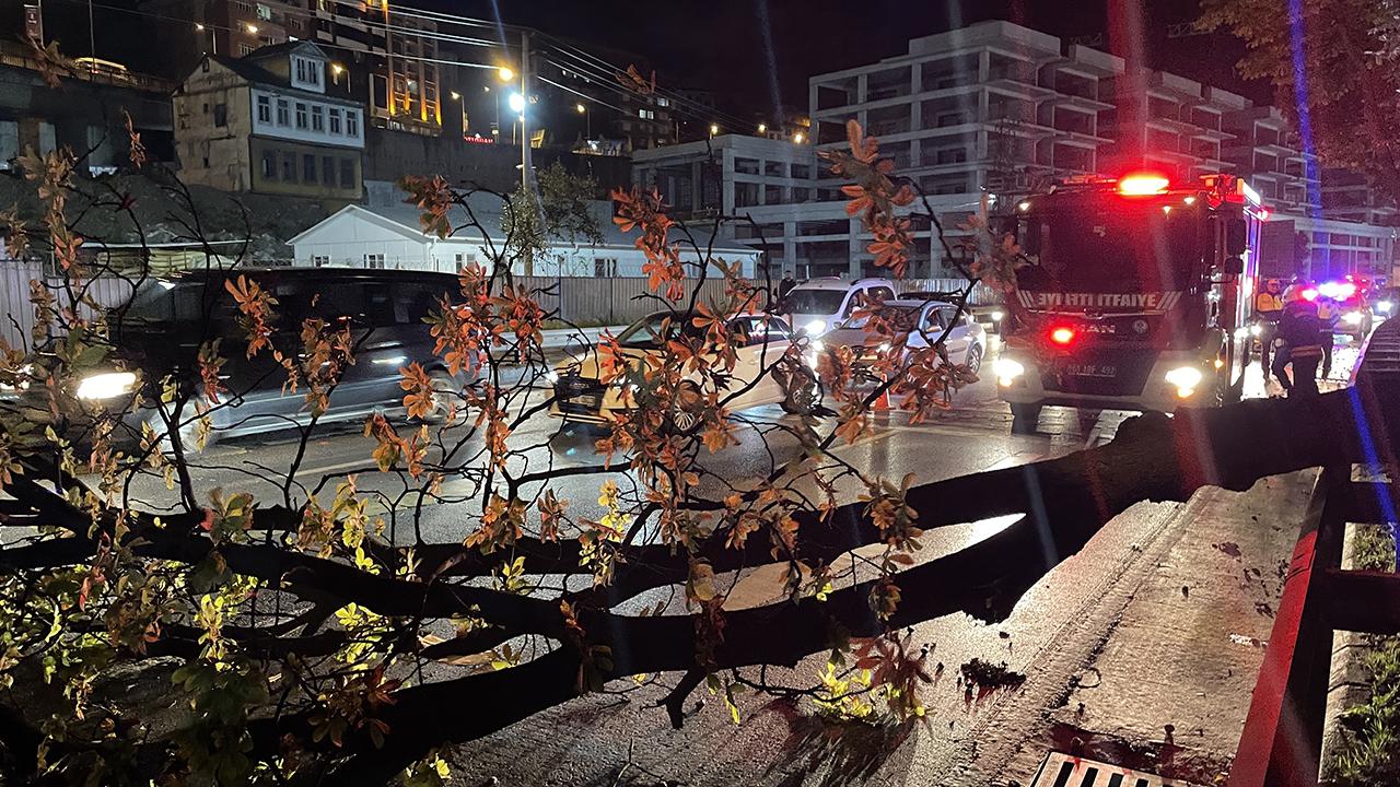 Trabzon'da fırtına: Ağaçlar devrildi