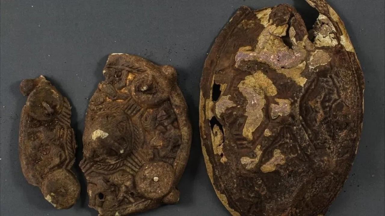 Kayıp küpe arayan aile bin yıllık Viking kalıntısı buldu