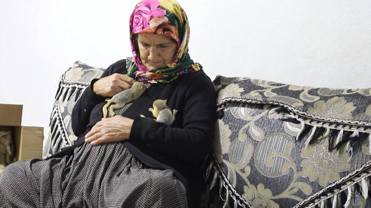 70 yaşındaki Hame Ayva sincaplara annelik yapıyor
