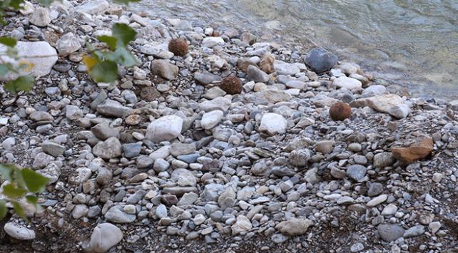 Bayburtta patlamamış 58 top mermisi bulundu