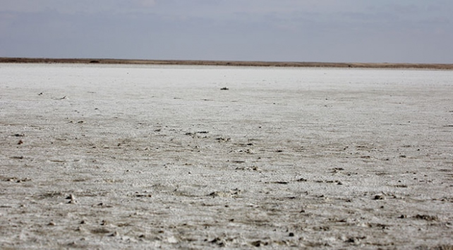 Seyfe Gölündeki kuraklık göç yolundaki kuşları olumsuz etkiledi